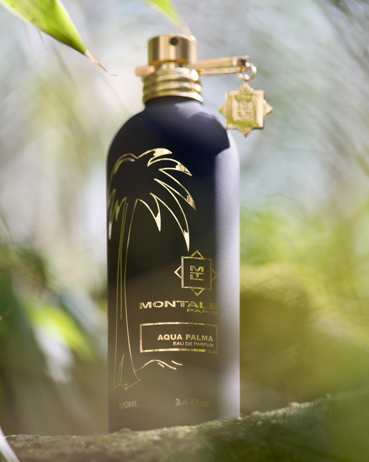 Montale Aqua Palma Eau de Parfum
